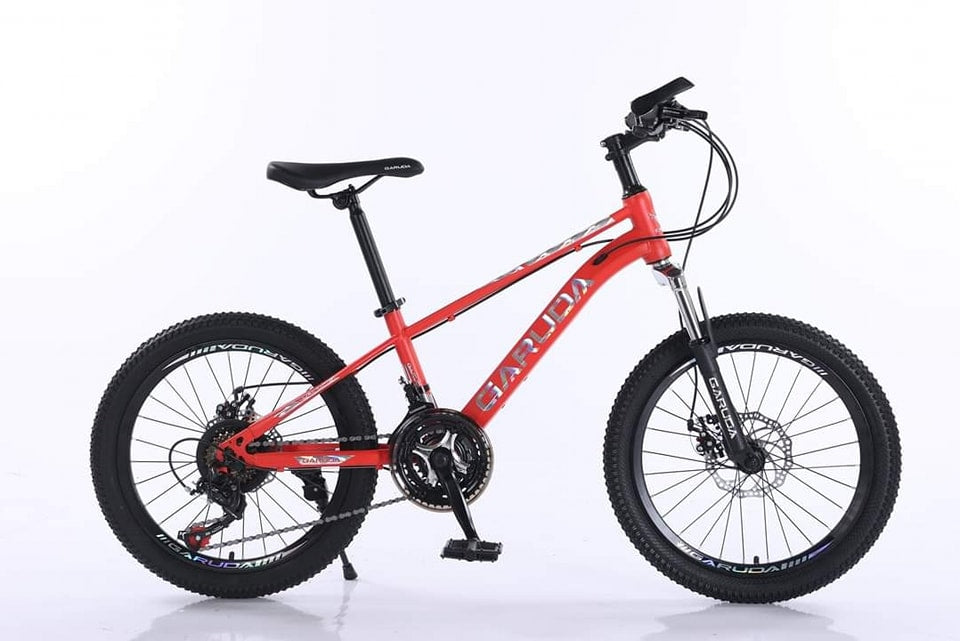 MINI MTB GARUDA 20 222