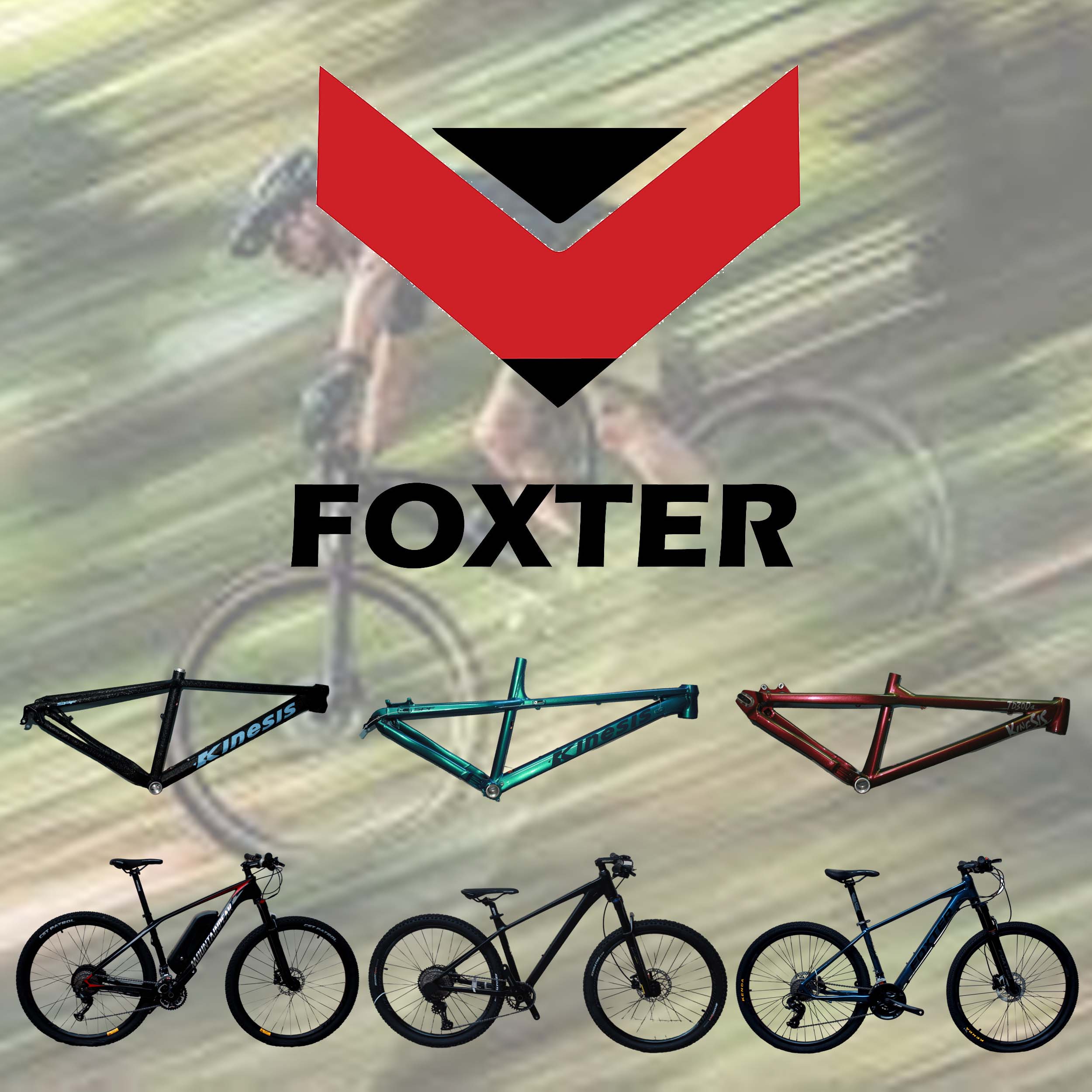 FOXTER COLLECTION