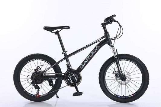 MINI MTB GARUDA 20 222