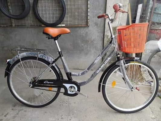LADY BIKE EMPRESS 24 GRAY (DISCOUNTED PRICE)