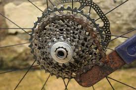 Multiple Sprocket